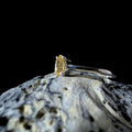 Minimalist natural citrine ring | 925 Sterling Silver