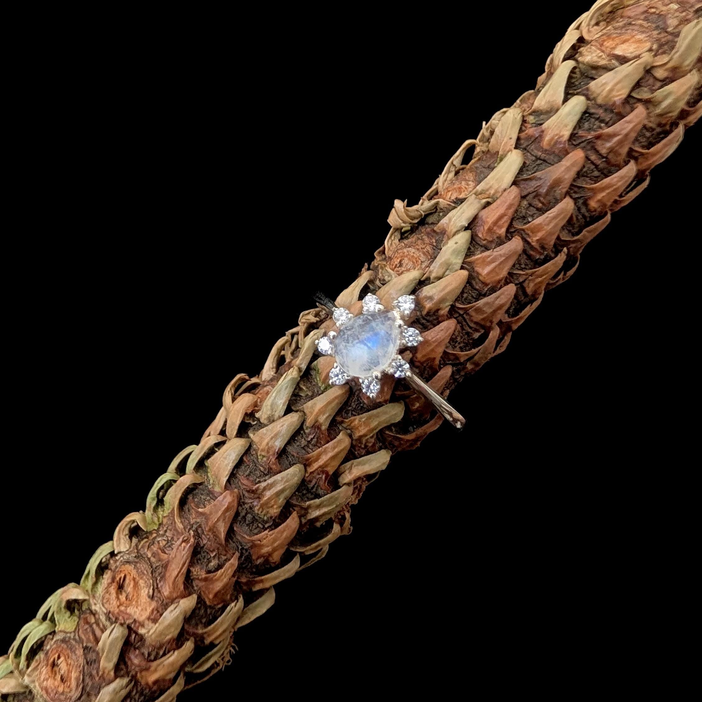 Statement rainbow moonstone & white topaz ring | 925 Sterling Silver