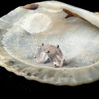 Rose quartz stud earrings | 925 sterling silver