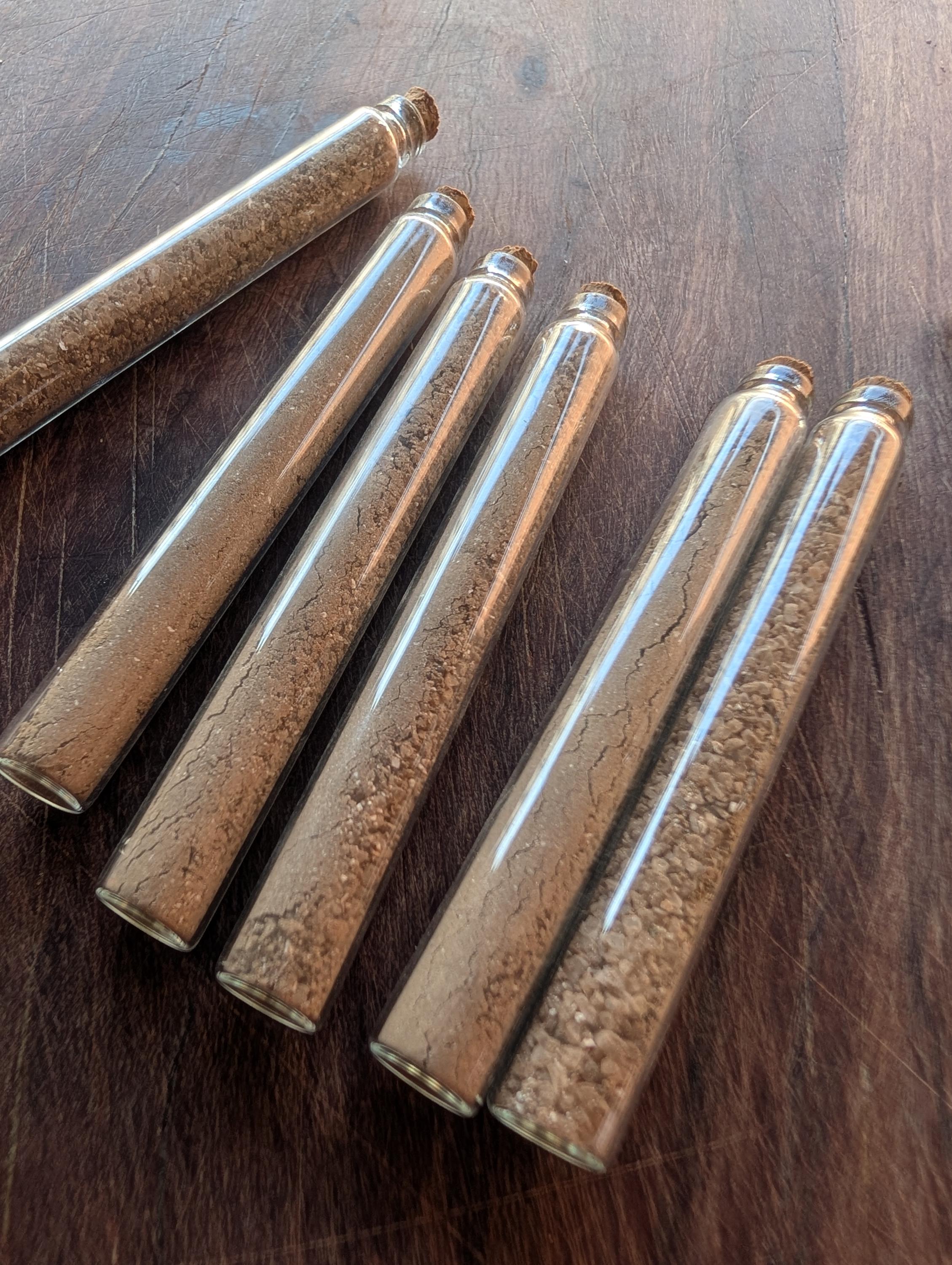 Living black salt starter | Protective altar salt