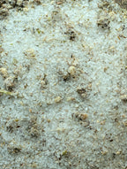 Peace and harmony sweeping salt