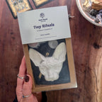 Tiny Rituals: Sphynx familiar creation kit