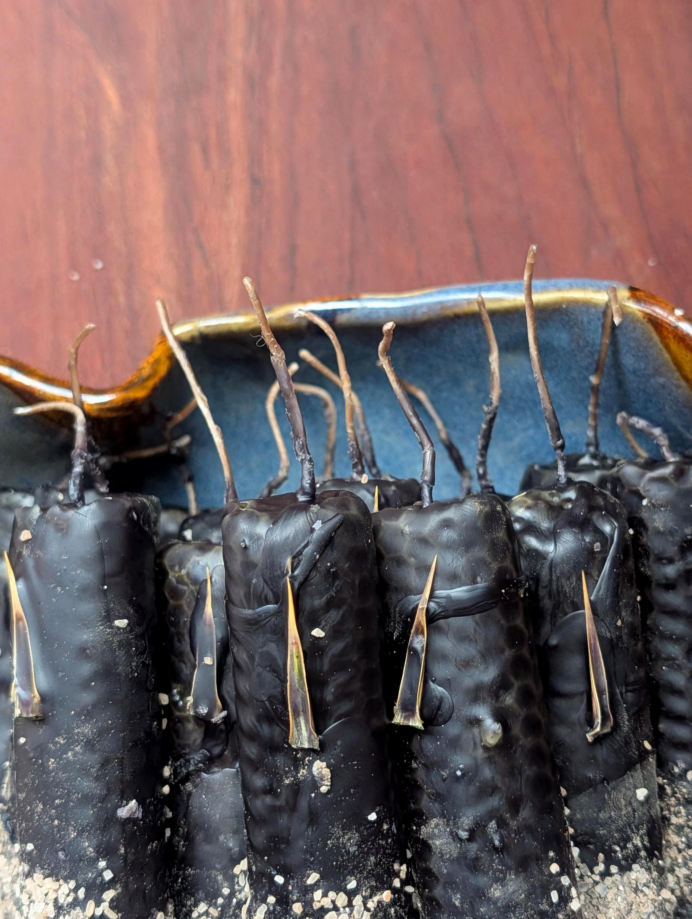 Protection ritual beeswax candles
