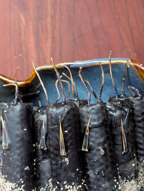 Protection ritual beeswax candles