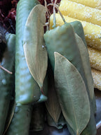 Fortune and prosperity ritual beeswax candles