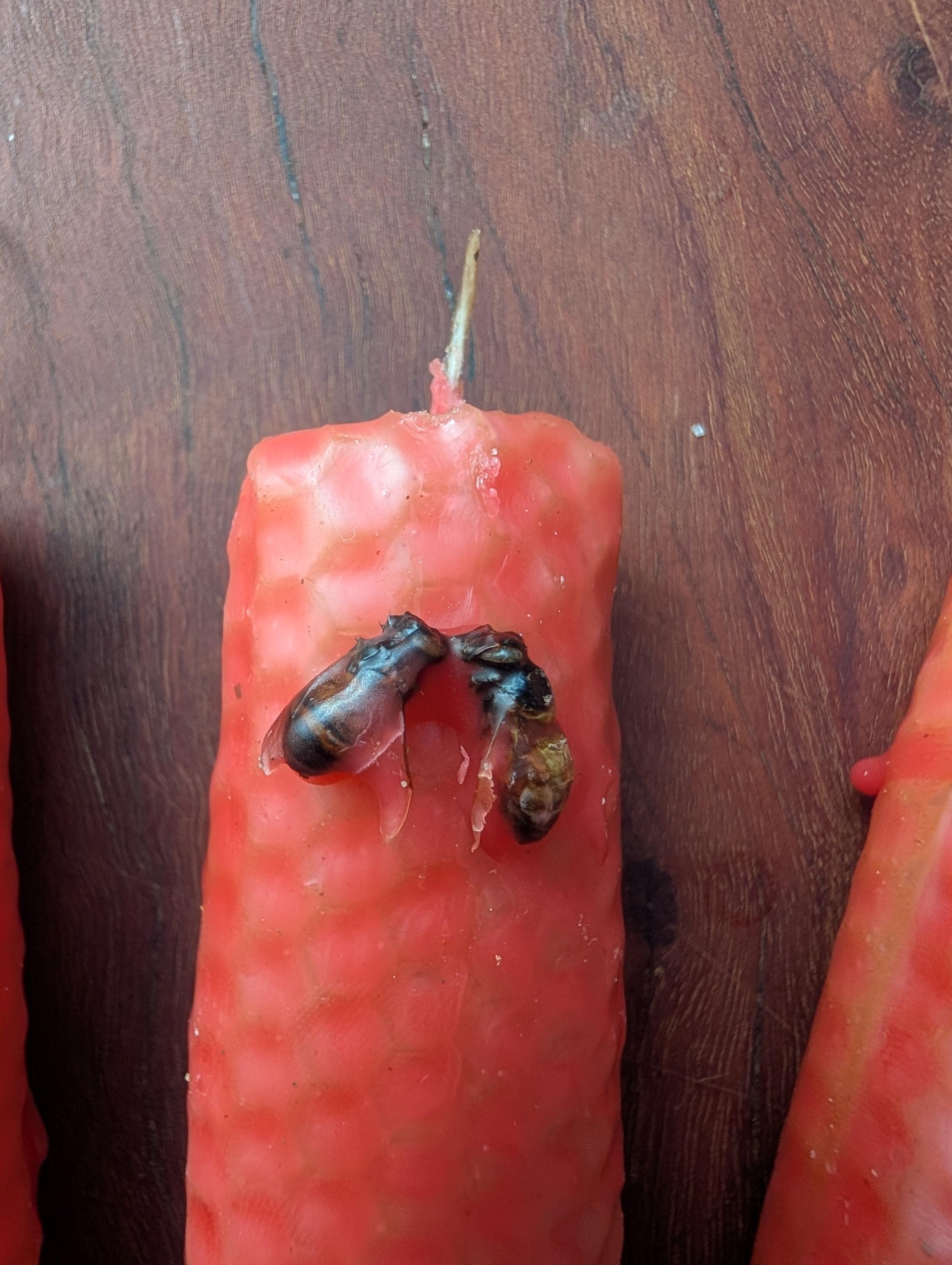 Soulmate connection and heart opening ritual beeswax candles