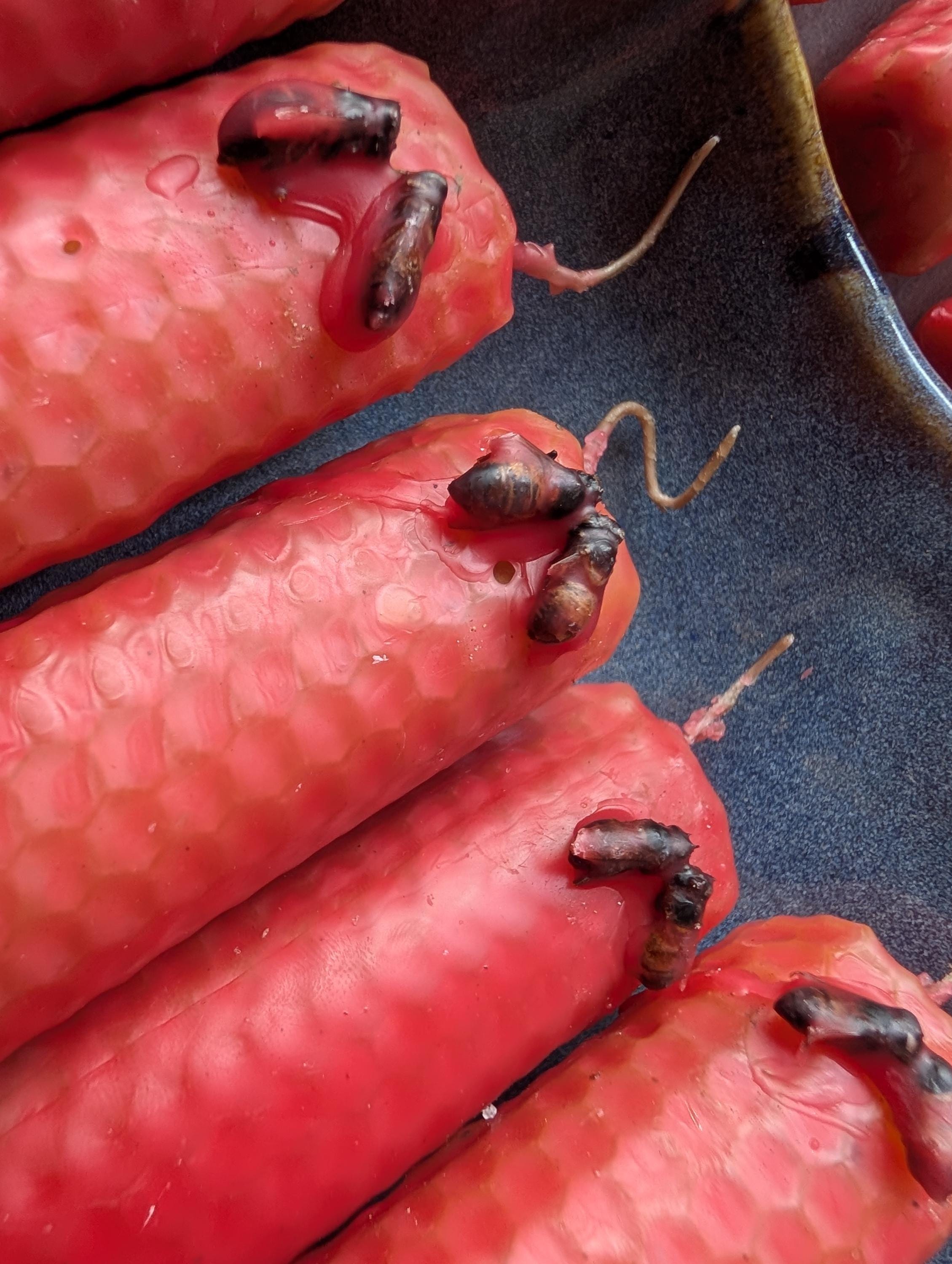 Soulmate connection and heart opening ritual beeswax candles