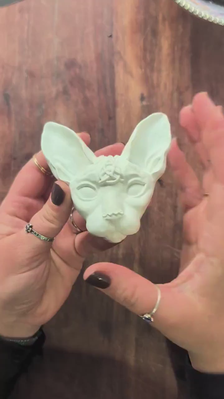 Tiny Rituals: Sphynx familiar creation kit